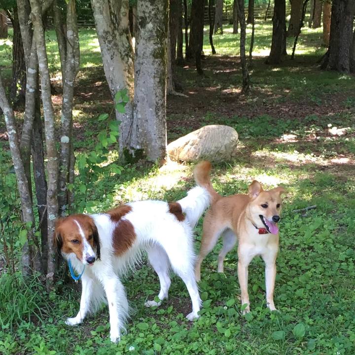 2f1a29b3 804e 48b8 aabb 29cd13c4fd0b