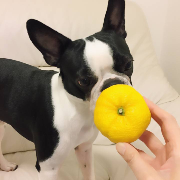 2f1a4c96 8469 4349 bd93 894f288416db