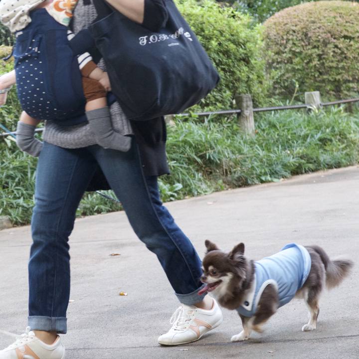 2f1ad3a0 f527 4442 a919 612d1985034c