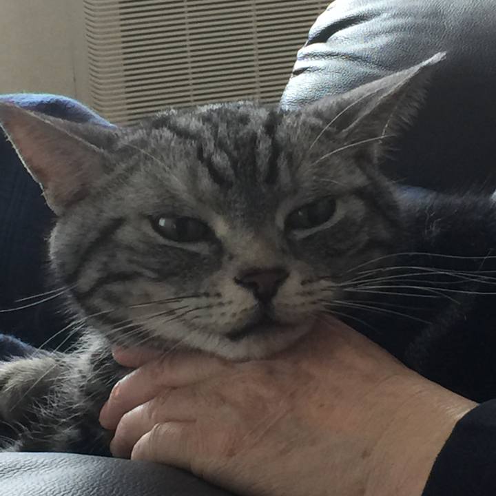 2f1be9ad a9d7 4c78 910d b1aa70ea6697