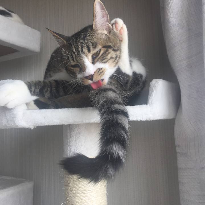 2f1c6e13 3135 4ce6 a75e 58084a923862