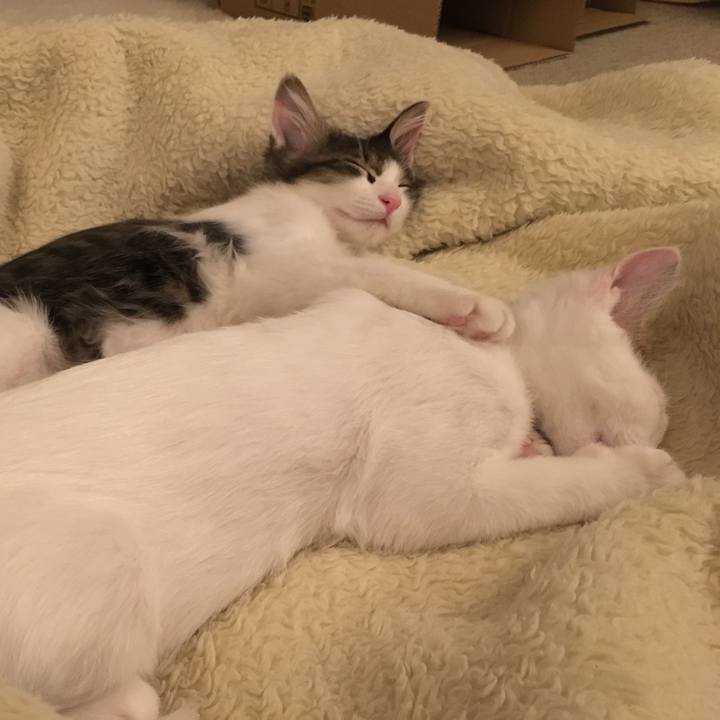 2f1cd5fe 91af 4993 ae5b 4c41385503de