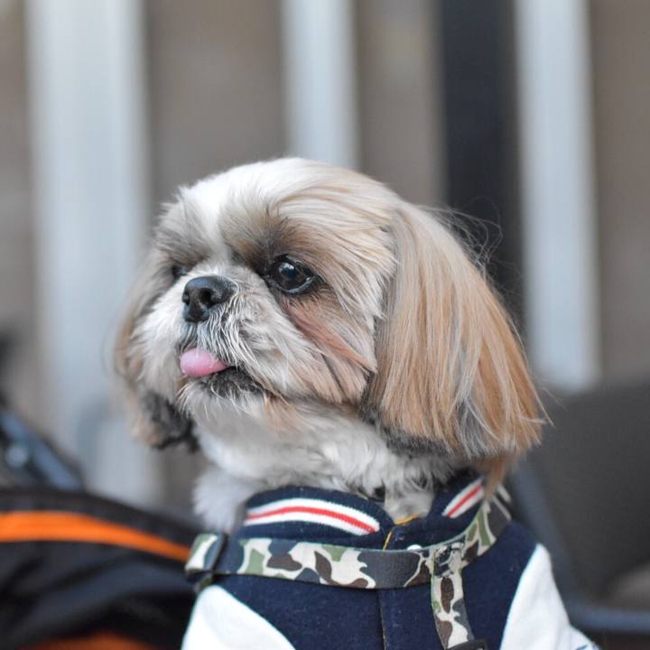 2f1cf6bd b8ef 43e2 9110 f6a459f1dc18