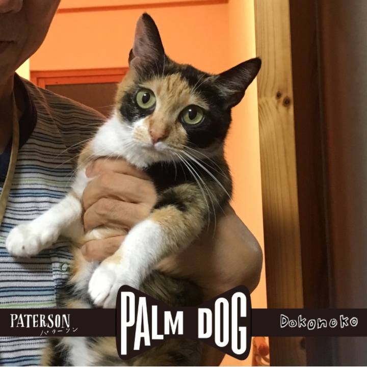 2f1d19f8 b5c6 4544 9e77 730ee8fca22f