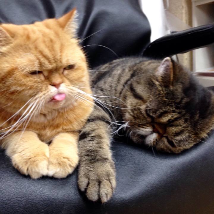 2f1d4385 36a9 41bd 8eed 048b1b0890b0