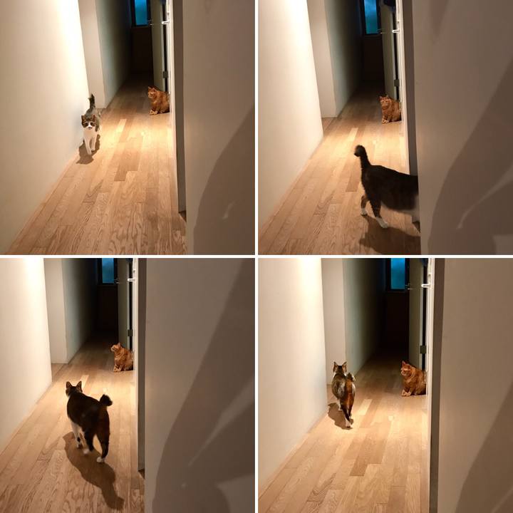 2f1d68c6 3e7c 41f0 99c0 3779815f7556