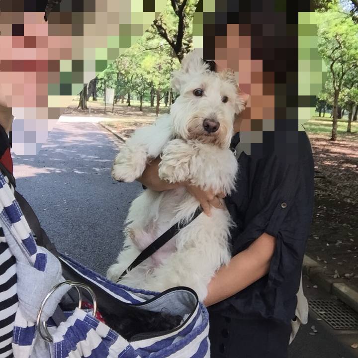 2f1df71b 3088 470a bb74 9022c80fd043