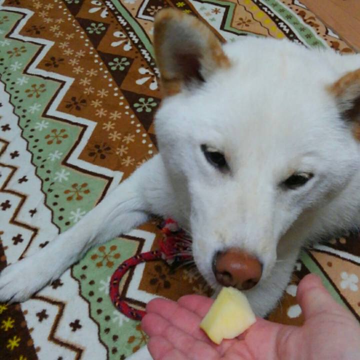 2f1e149b ca31 44ce b382 4fb24912703e