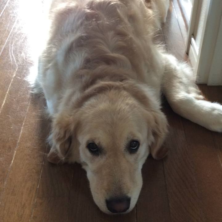 2f1f30cc 9bec 45e8 9b8f 3bc41452d4fc