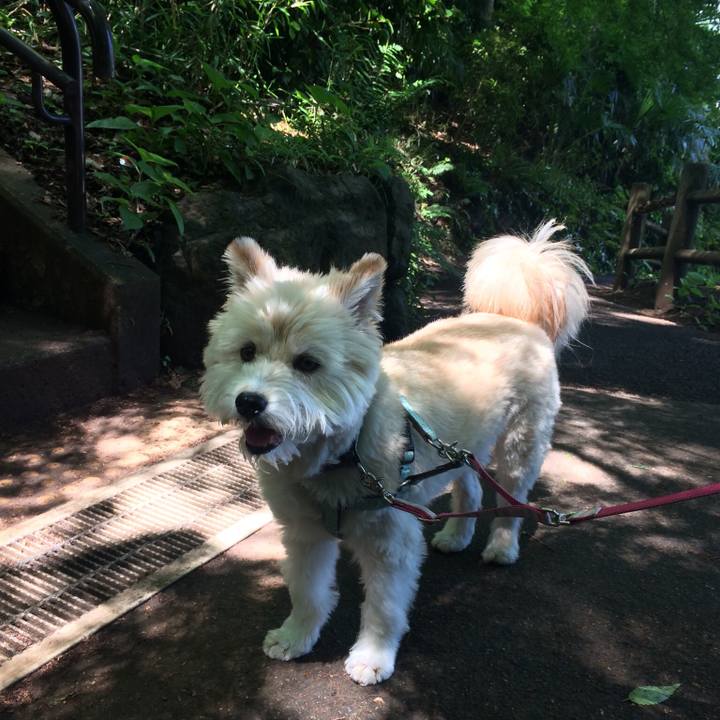 2f1f8a0a fea9 4138 b0b0 cf90e3e76522