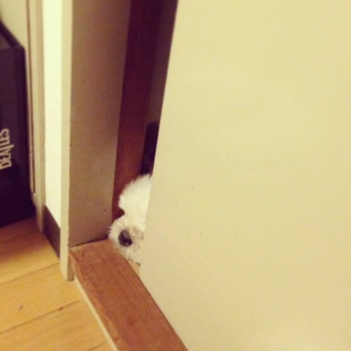 2f208ca0 6c0e 474c 95ae f625f1994584