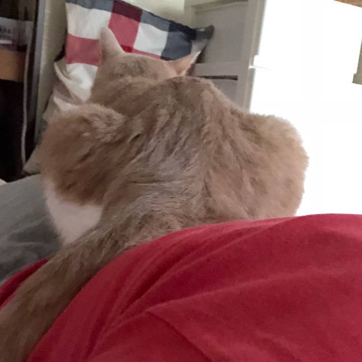 2f215d6b f2c2 483e 9a1f 8251e0d56d67