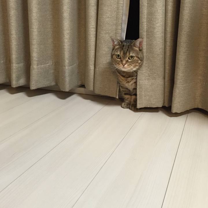 2f21d79e 161e 40e0 a13a 19fb794ae1a0