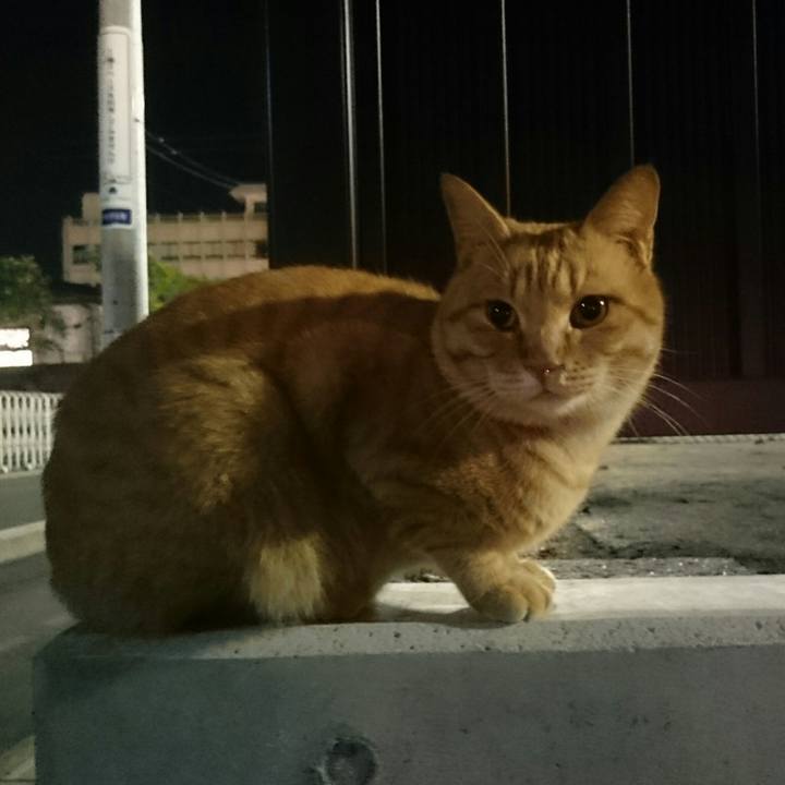 2f2290da 1336 4101 a538 eeaee418804d