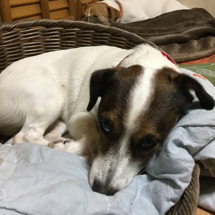 2f23e437 8cbd 4f75 acf7 a4996f4238b1