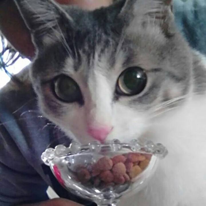 2f248ee2 8f9d 4e11 8ddd 67aa0867cf56