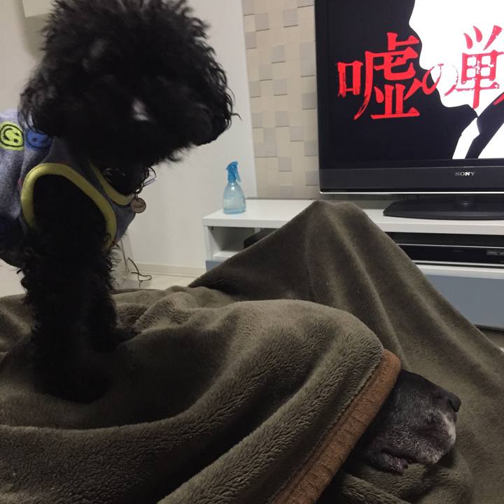 2f24bb92 97fa 4f63 8487 7974c47dd6a4