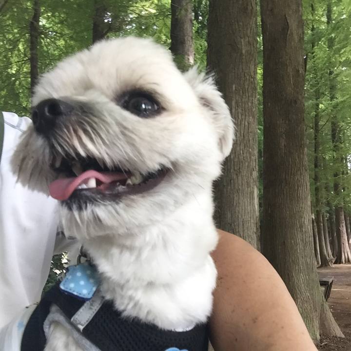 2f24f6c7 8d1e 4055 ac5c ecb7aefbf6c5