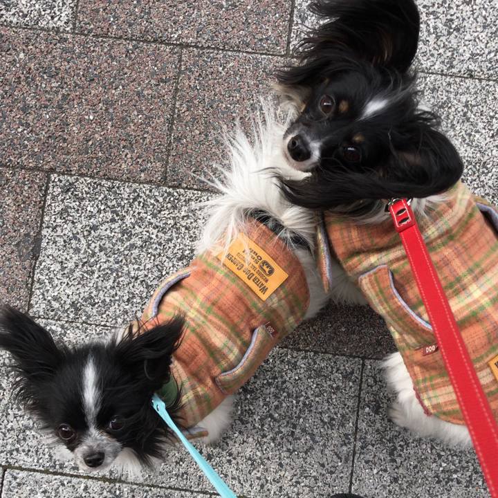 2f252a9f 2b53 47b5 81ab 1082495d9ab3