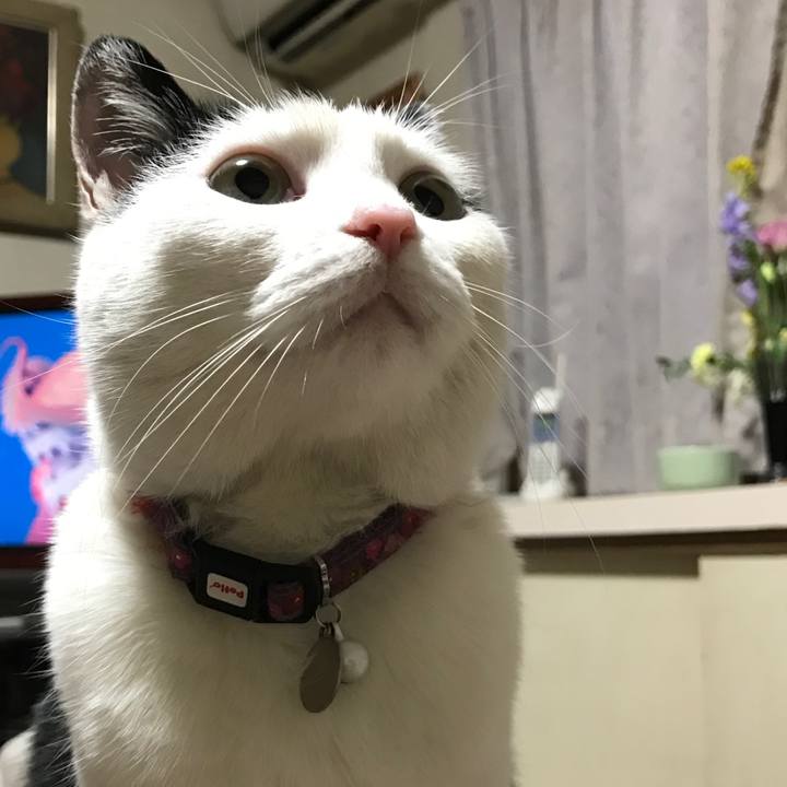 2f2559af d789 4edd a95b 3976e9ec349d