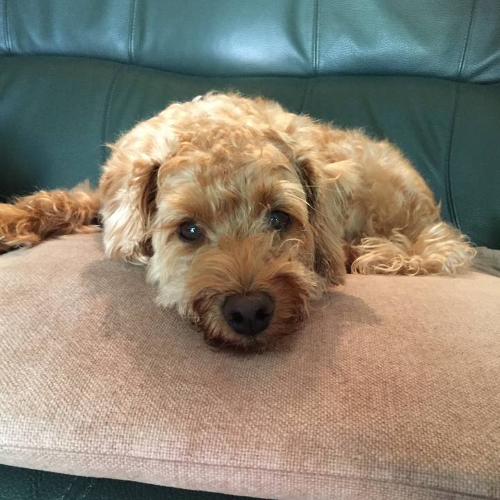 2f25b3de 212e 4321 a907 c9f0ec22f388