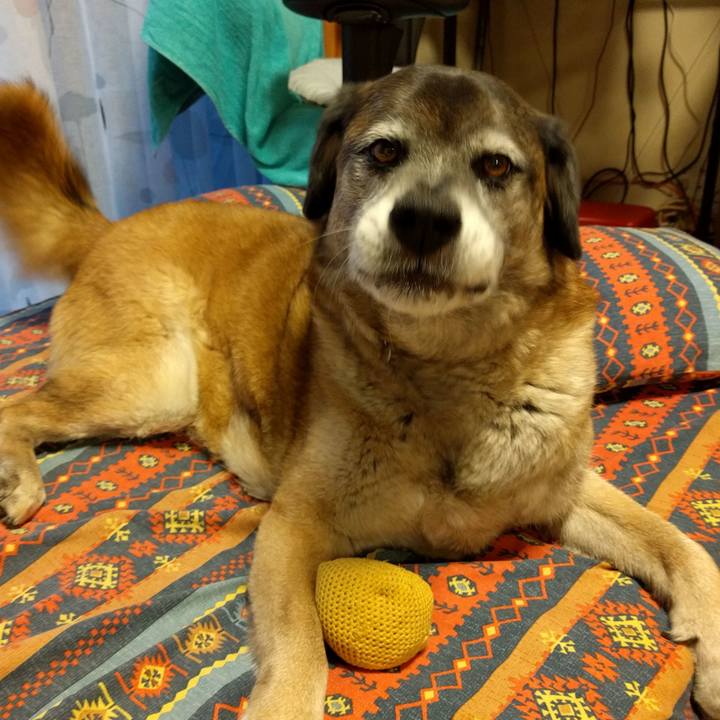 2f25b9b6 4099 4892 bdac d2a328882dca