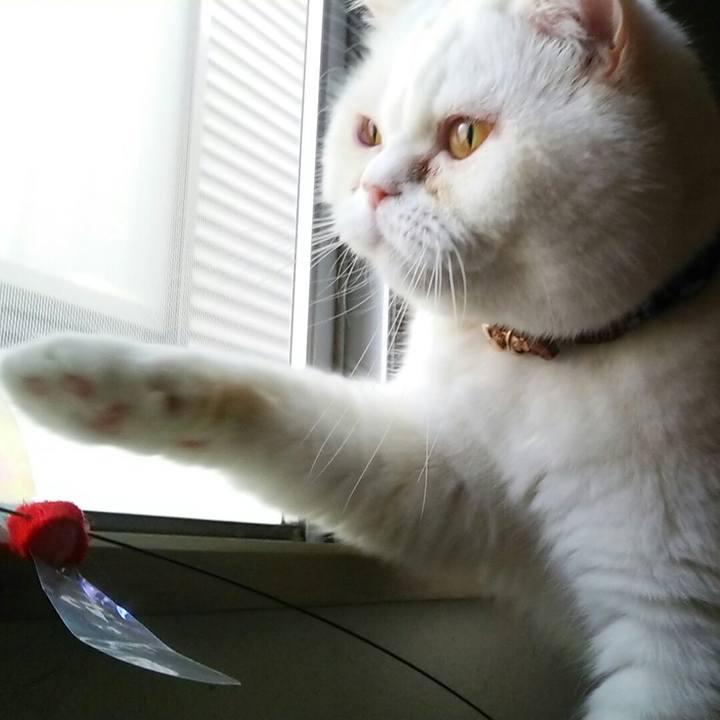 2f25e510 3a73 4f28 bf96 96830b08dd39