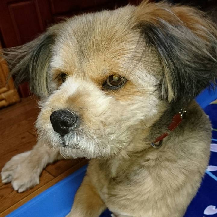 2f278cd1 e0e1 4cf0 9867 3613b1a3ca7f