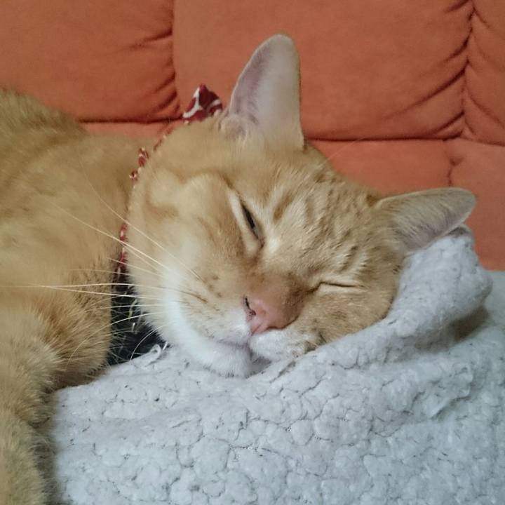 2f27ae37 a495 4dfd 9350 11a270369587