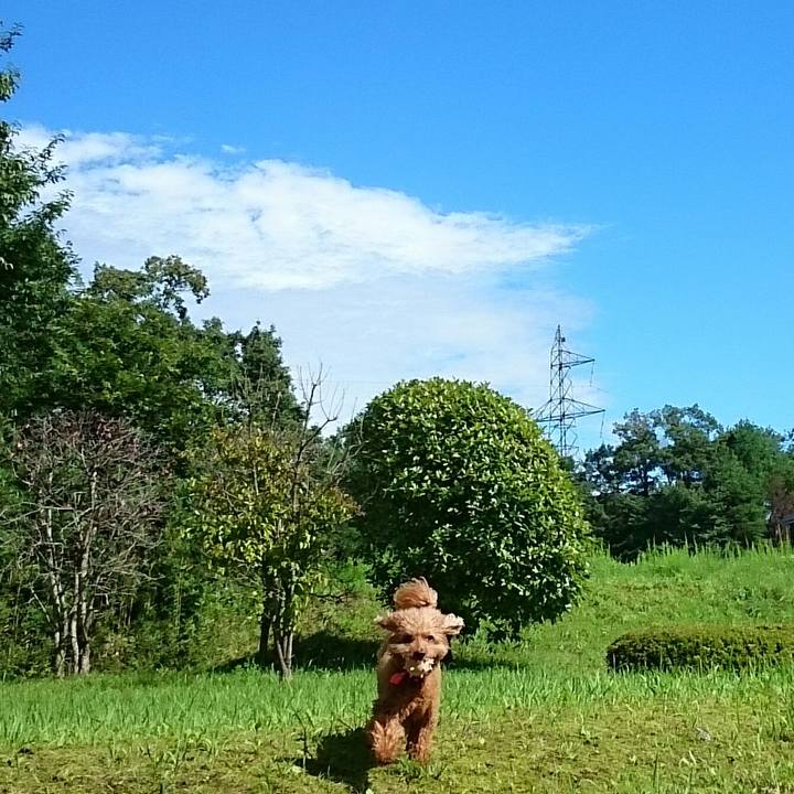 2f2858e3 d1ad 44f1 b24a 9d61c1841b3a