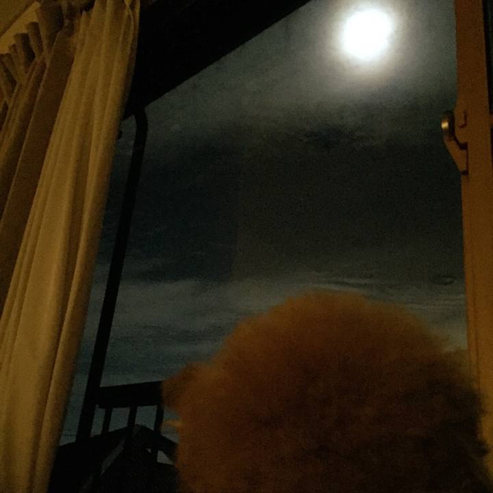 2f29157a 696b 412c 9a38 f3f53c2434cc