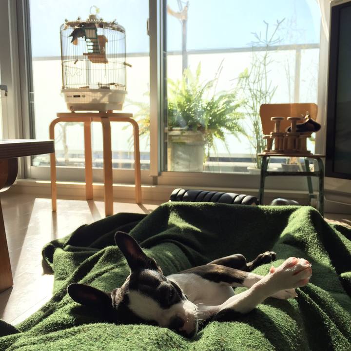 2f292cb2 99fa 42b6 9d41 951d699a0a49