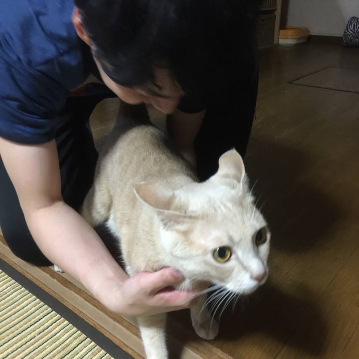 2f293f15 5565 452e 8e76 abe51c3960f6