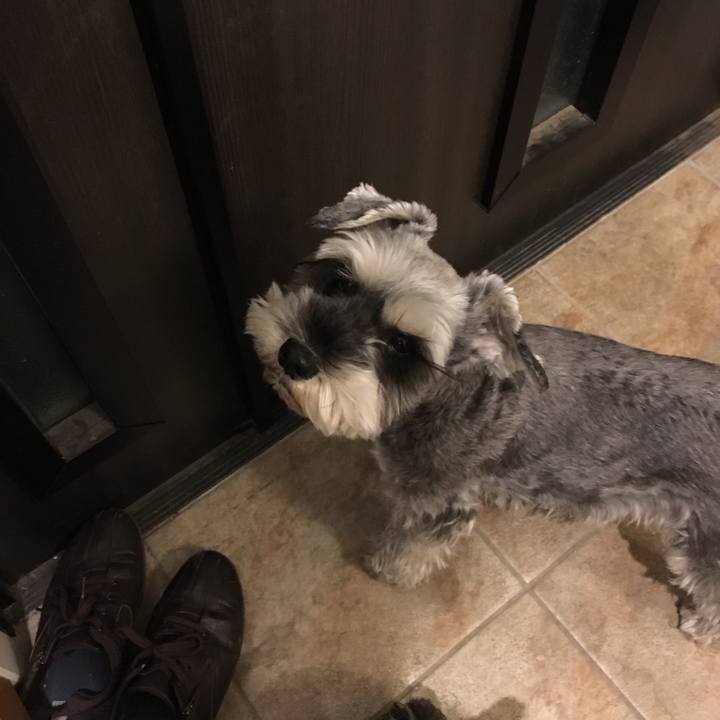 2f29ac17 6c12 451c a2dd 3d5893b5ab26