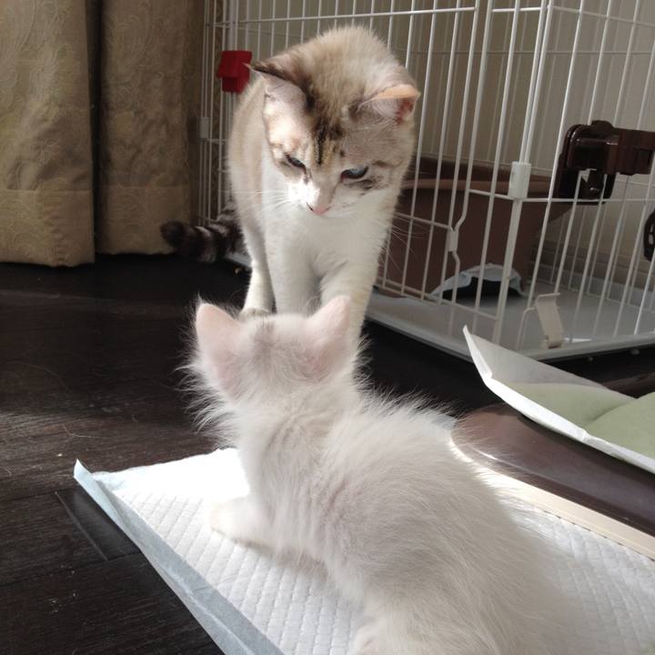 2f2a6da0 665d 4f17 be6a c543314ed39e