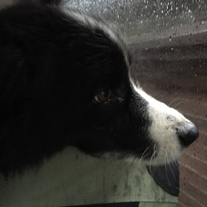 2f2a7e98 7e0c 4ae6 b89d d77376736830