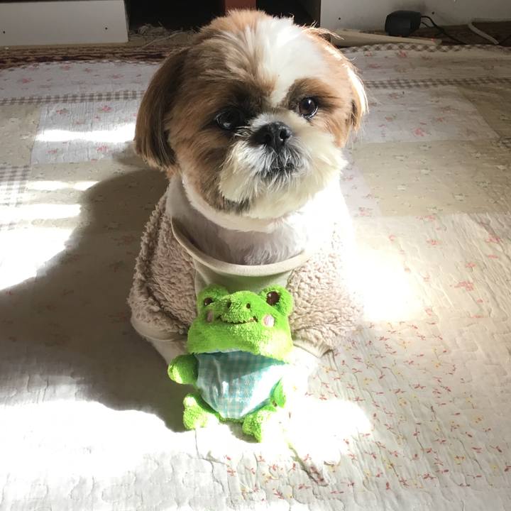 2f2acef0 02e8 4b64 8f99 acffd492ad14