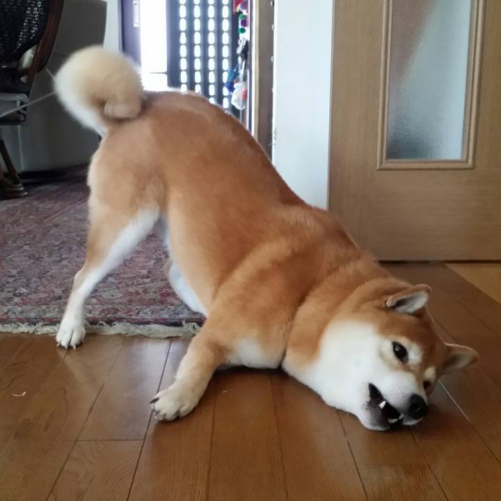 2f2b003e 3091 4799 906e fd2037533618