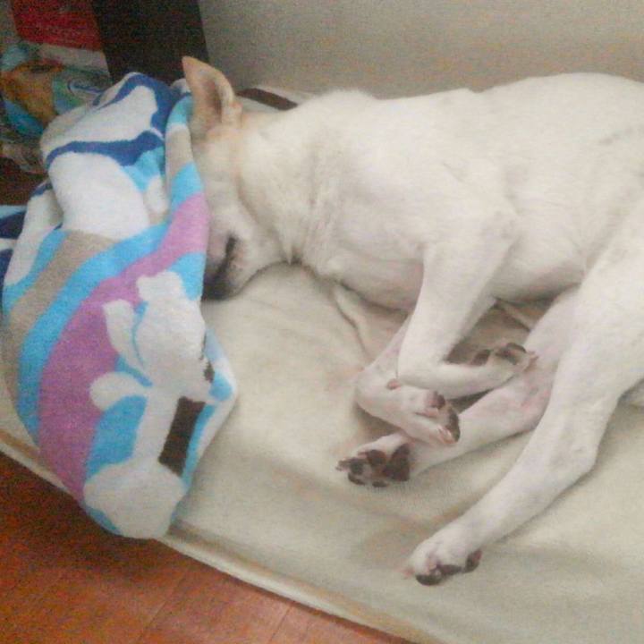 2f2b5757 84ba 4990 b9bc 2c495537564f