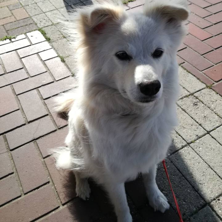 2f2c1d47 ab0a 42dd 8754 a18417c7f465