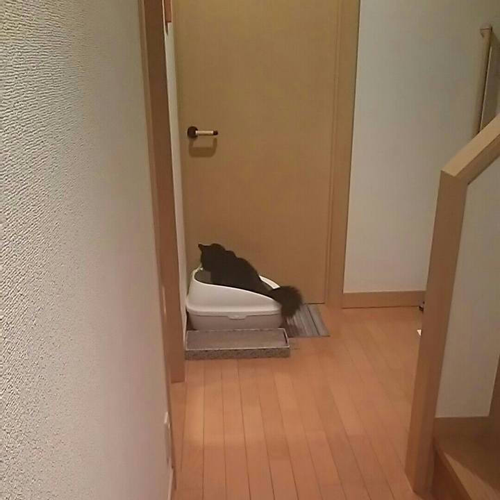 2f2c286f b8eb 437a 8239 7038d3e7e8ba