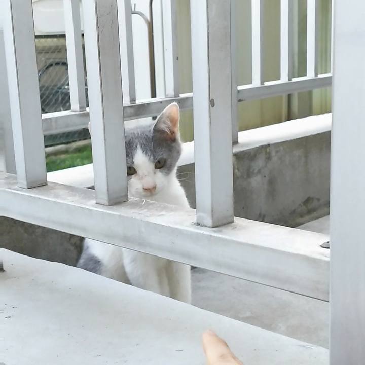 2f2c499e 2204 40e0 9c71 127fd89152be