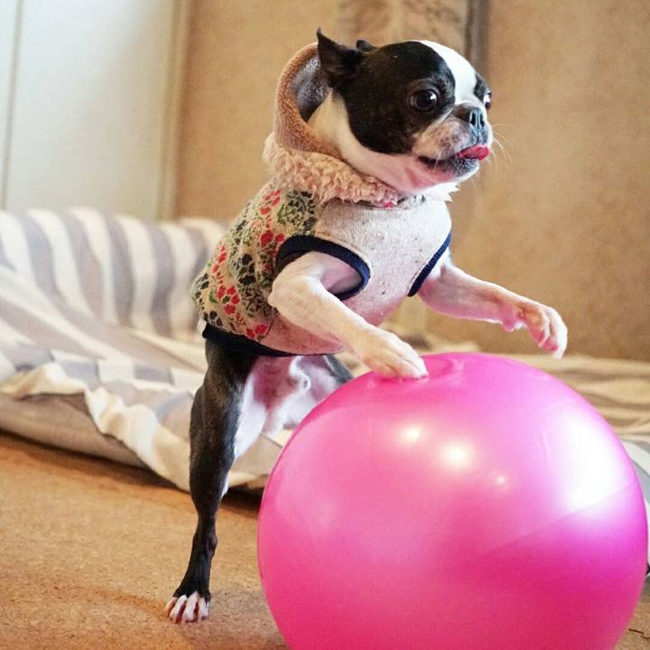 2f2cd98b c9a4 4548 8efc 32a724065ea6