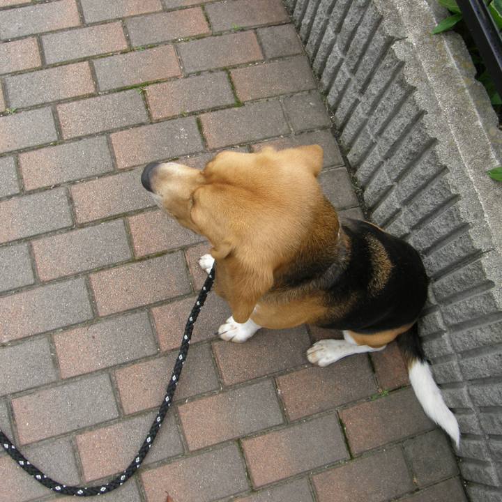 2f2d04c0 6f90 4d8d b66b 205393753b9f