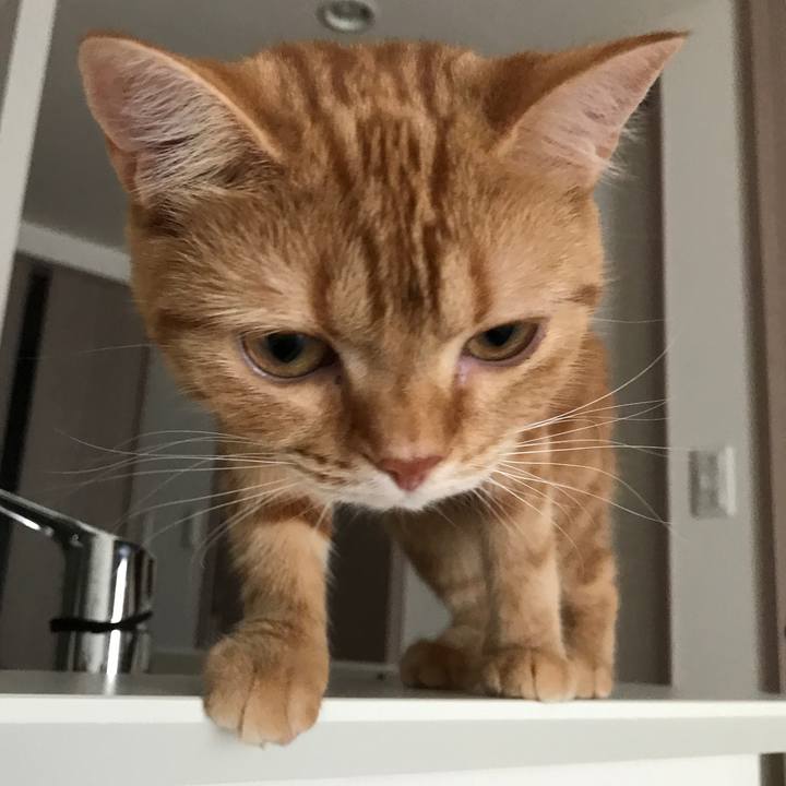 2f2d60d4 5dc5 4ad6 9263 45a6084b7b3a