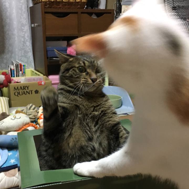 2f2e0940 a121 4a57 b4b0 899466172a66