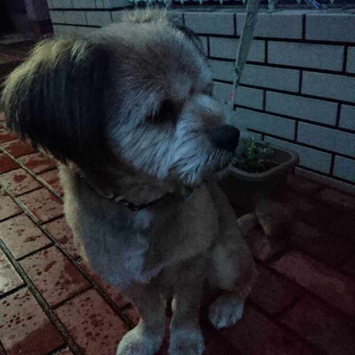 2f2e6914 d323 4211 b8dd a4c824ee7677