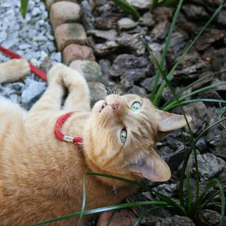 2f2e87f1 f30c 4673 82b7 be0d7e8f7316