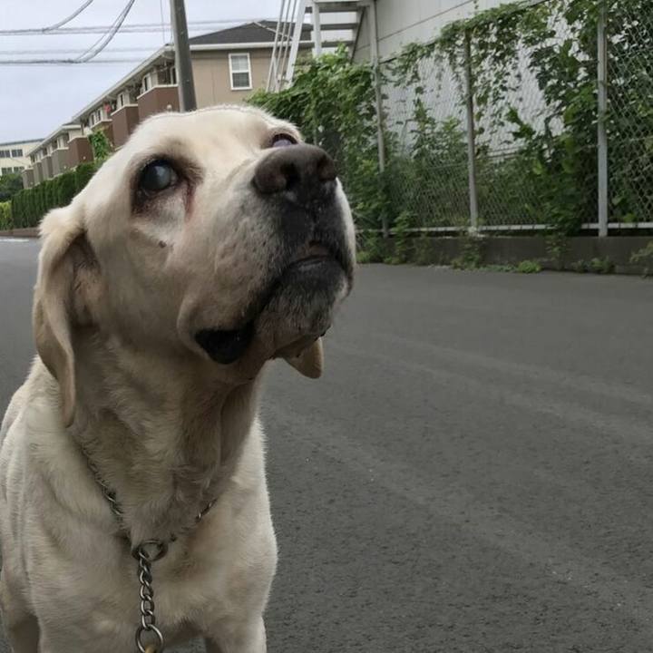 2f2f0740 f9ea 4047 ae1c a37a2b1a6067