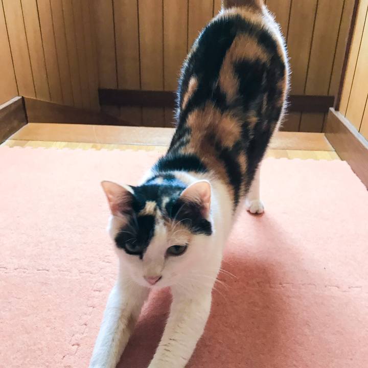 2f2f4452 1969 441d a3ab 975735b10404